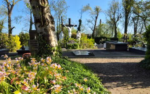 Overzicht begraafplaats lente