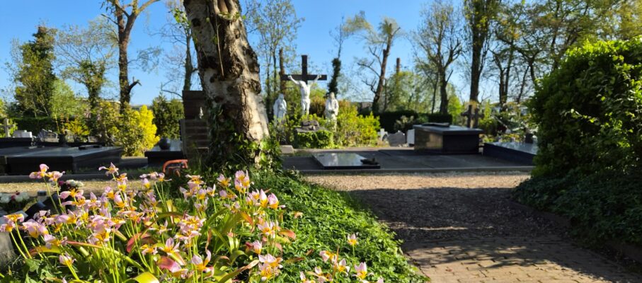 Overzicht begraafplaats lente